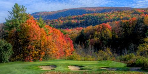 golf article