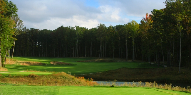 Woodhaven #1