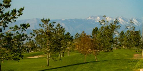 Cove View Golf Course