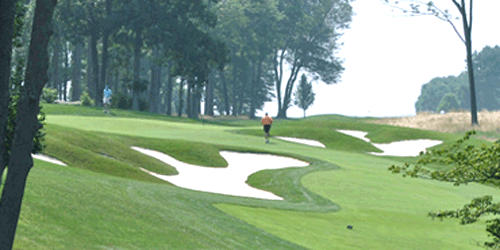 Patterson Club