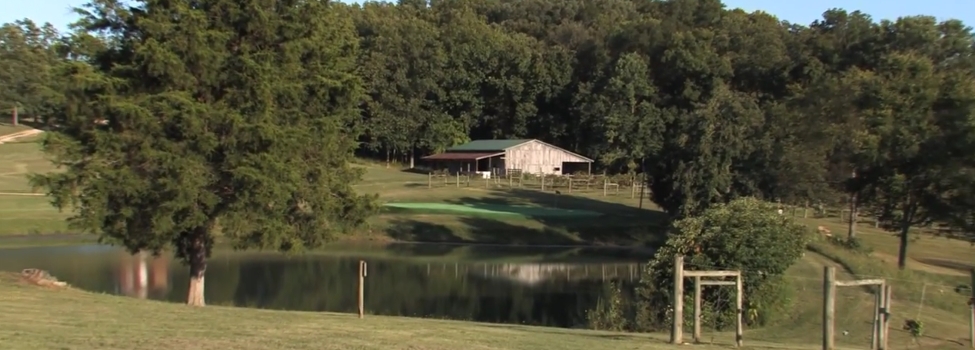 Elk Ridge - Golf and Guns
