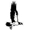 Black Hall Club Logo